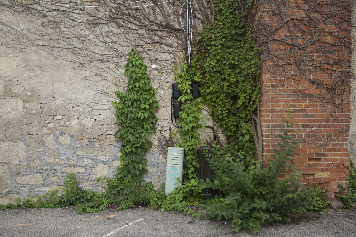 02 Douglas Street Alleyway - Capture photo 6 - Sounding the City 003 - Guelph 2018